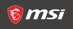 MSI logo